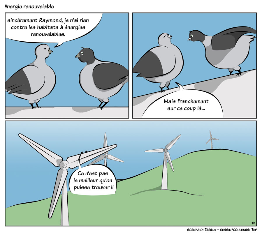 les pigeons  u2013 energie renouvelable
